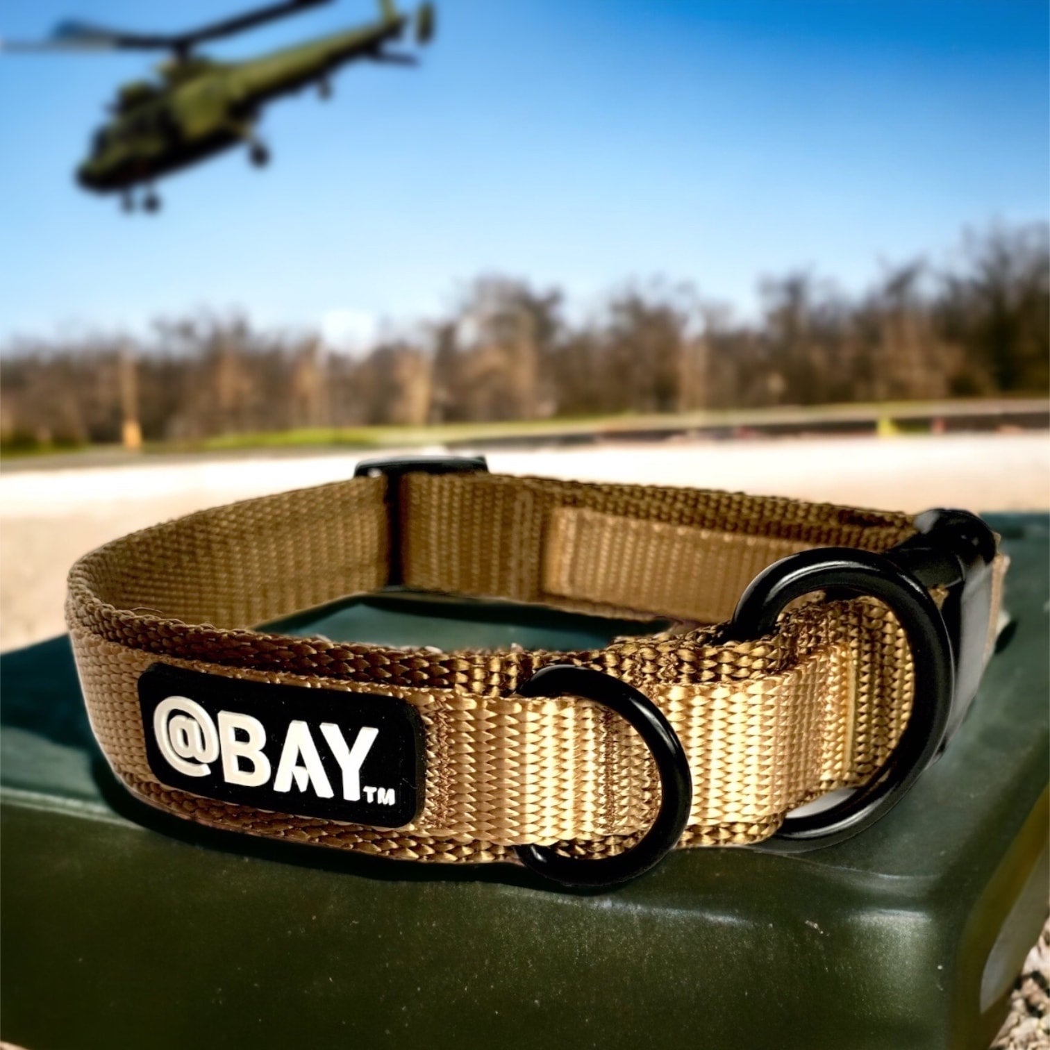 The bay shop dog collar